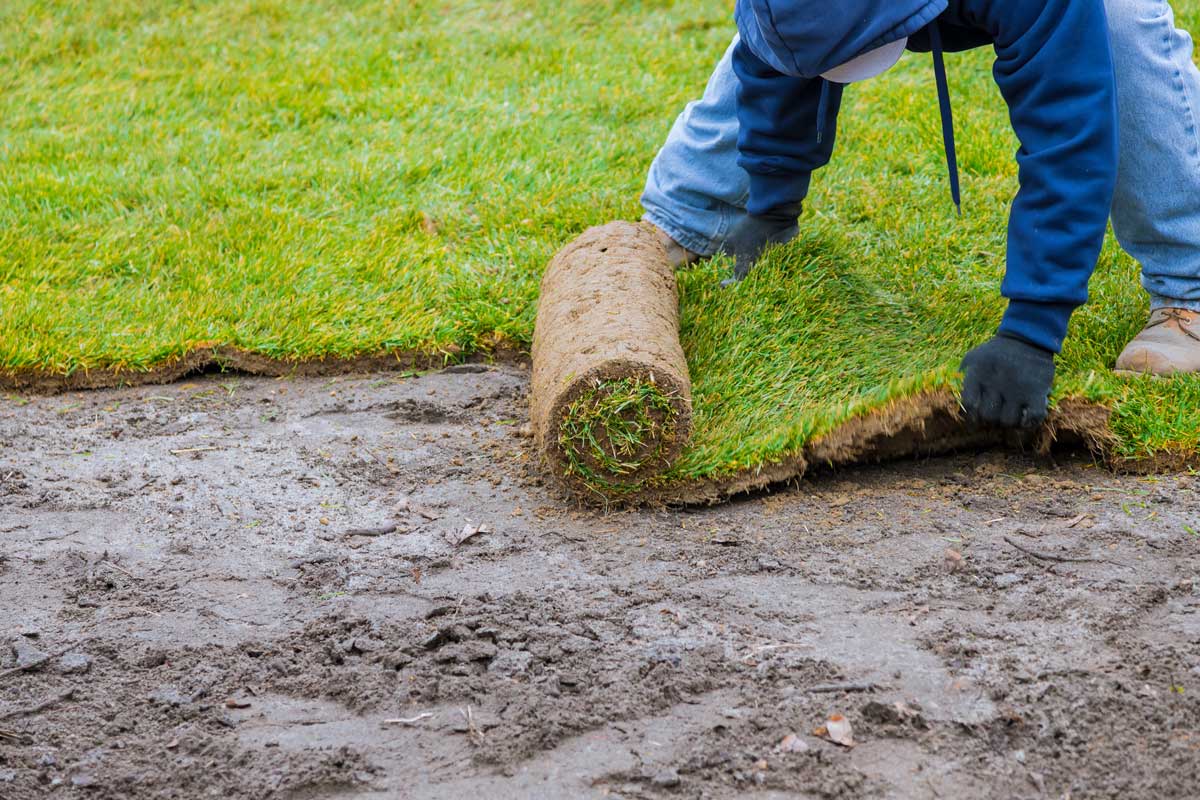 Dreamscapes team member installing sod